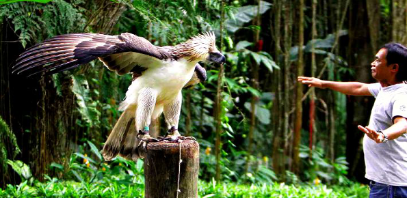 Philippine Eagle Centre