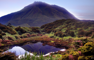 mount-apo